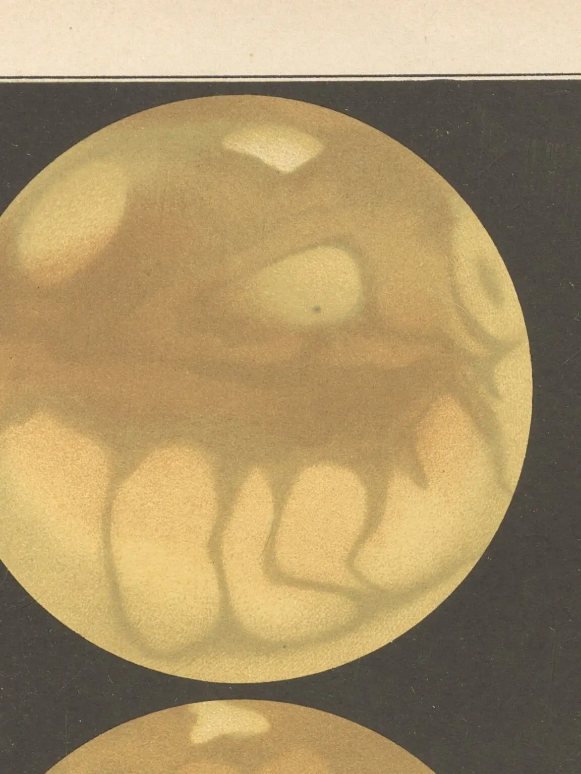 A chromolithograph of Mars as a pale orange disc on a black ground, its surface mottled with darker markings and a bright polar patch.