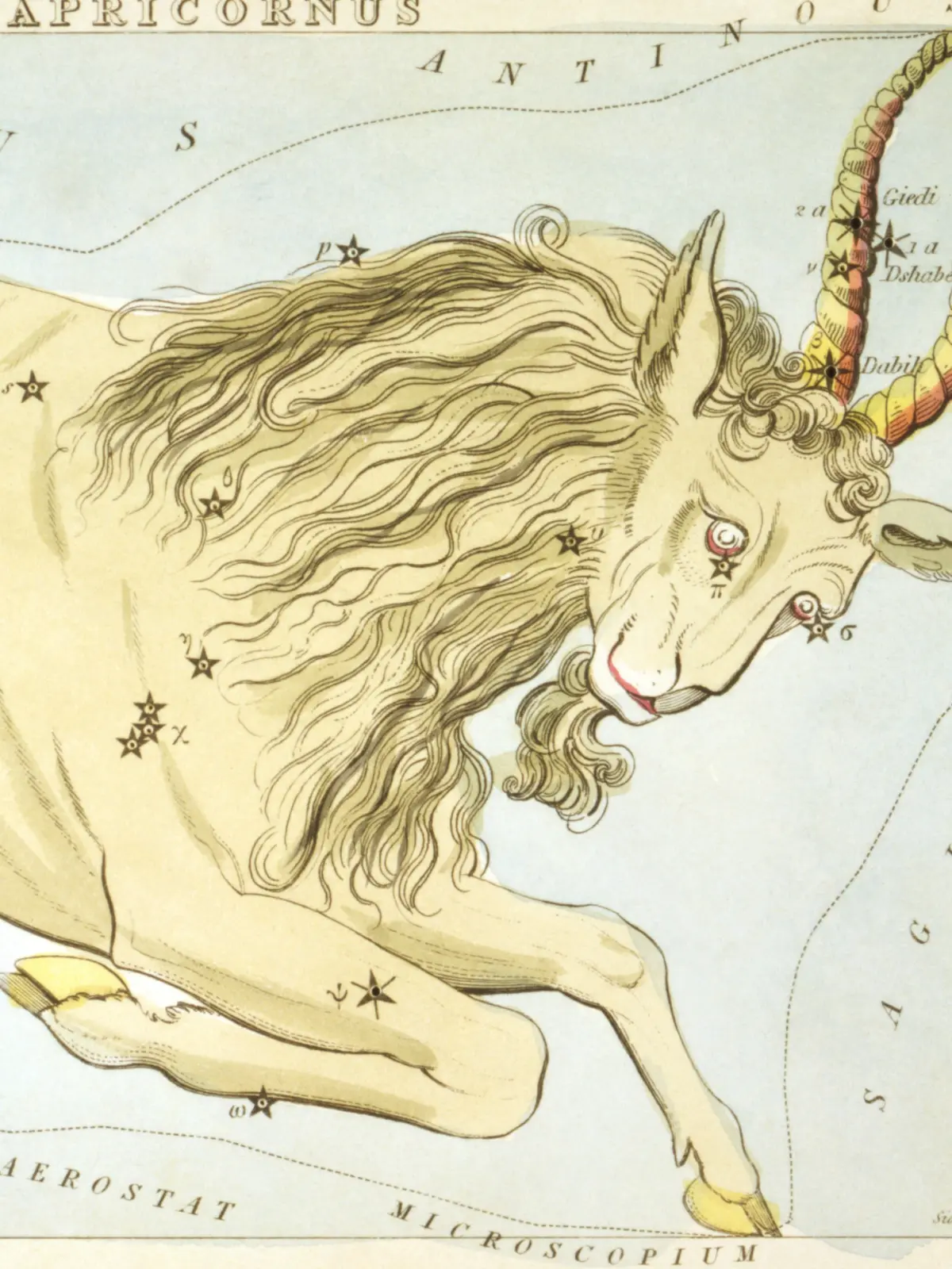 A hand-coloured star card of Capricornus: a pale sea-goat with long ridged horns and a shaggy mane, its body ending in a dark scaled fish's tail.