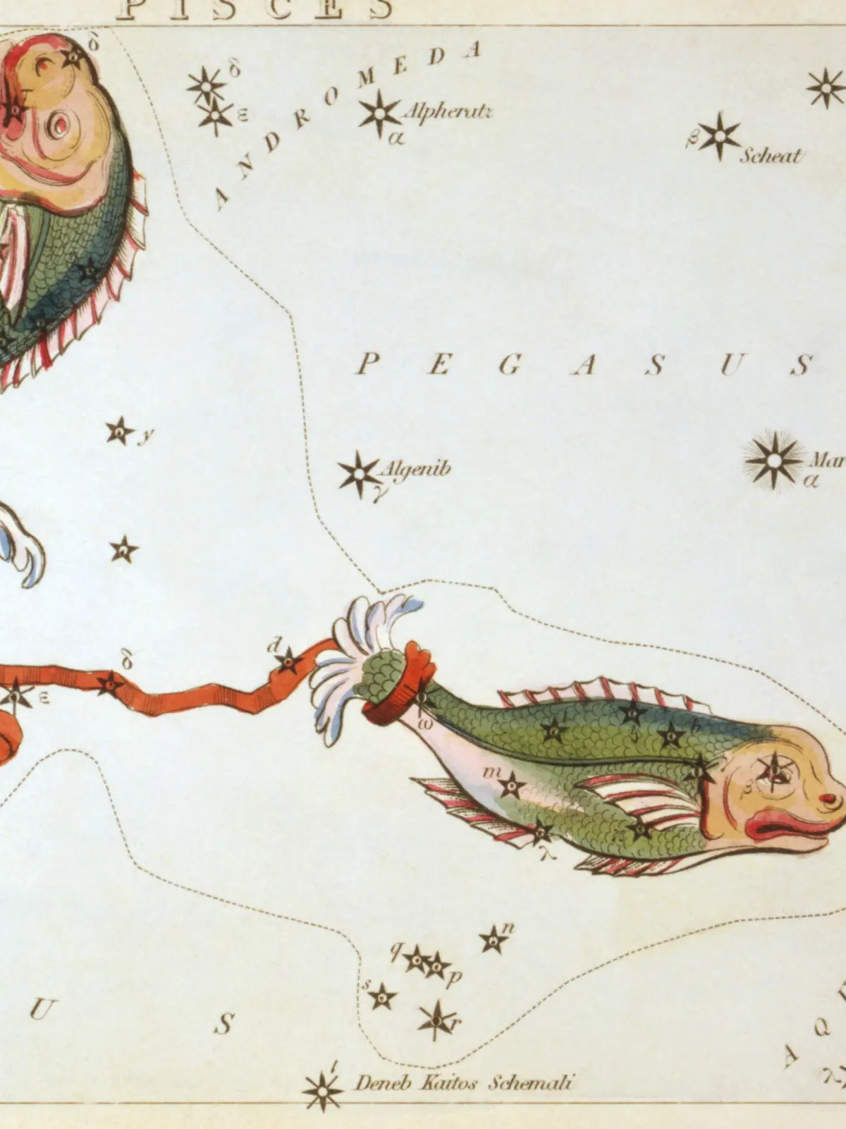 A hand-coloured star card of Pisces: two fishes at opposite corners of the sky, joined by a long red cord that loops between them.