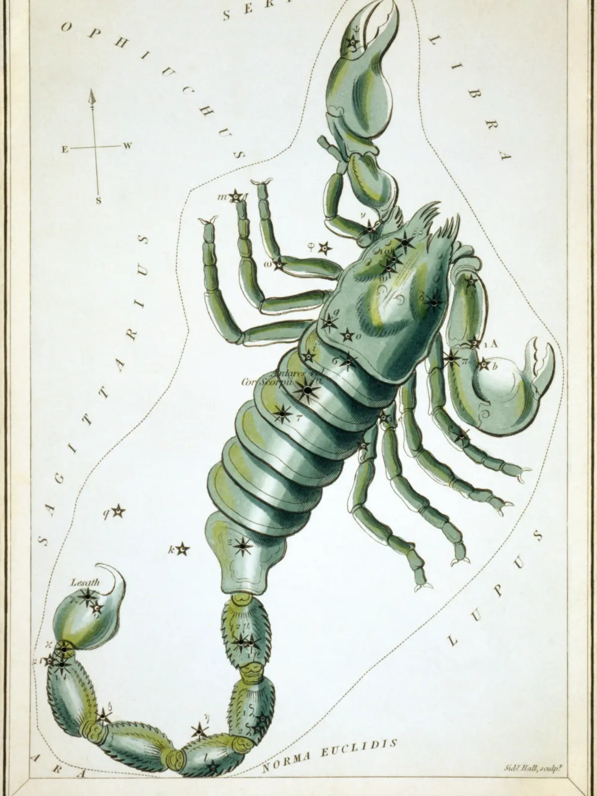 A hand-coloured star card of Scorpio: a grey-green scorpion with raised claws and a long segmented tail curling to the left, the red star Antares marked at its heart.