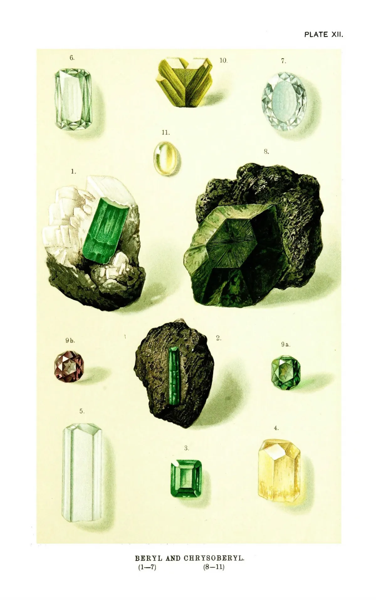 A chromolithograph headed Beryl and Chrysoberyl. Low on the plate the same alexandrite is cut twice, green by daylight and raspberry-red by candlelight, beside a dark olive chrysoberyl crystal in rough matrix, with emerald prisms in white calcite above.