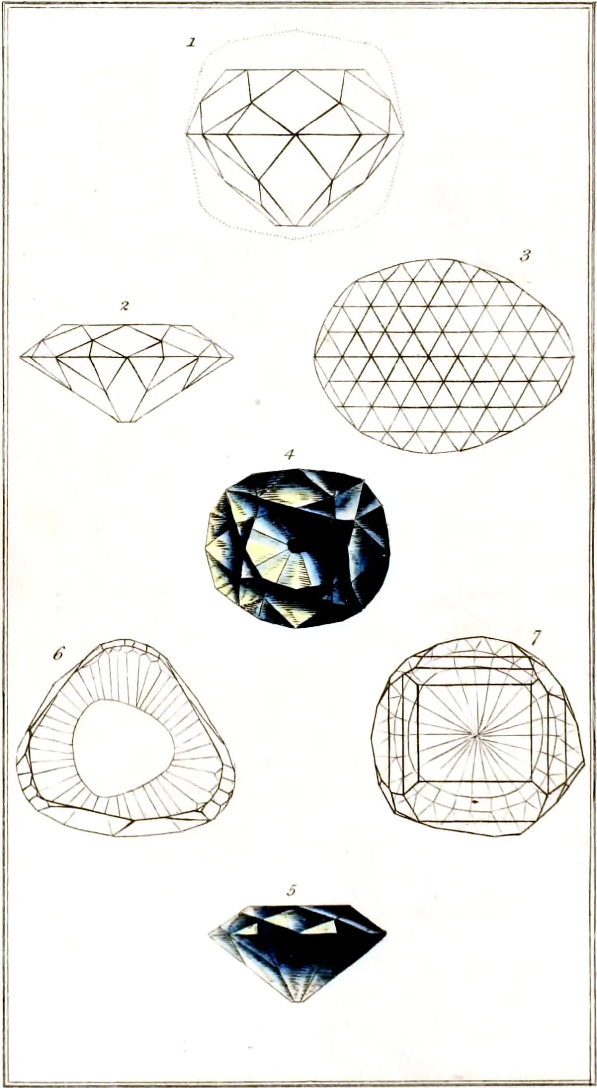 A hand-coloured plate of seven diamonds. Five are drawn as fine outline diagrams showing the facet patterns of brilliant, rose and table cuts; two are fully coloured deep blue-black brilliants, one seen face-on and one in profile.