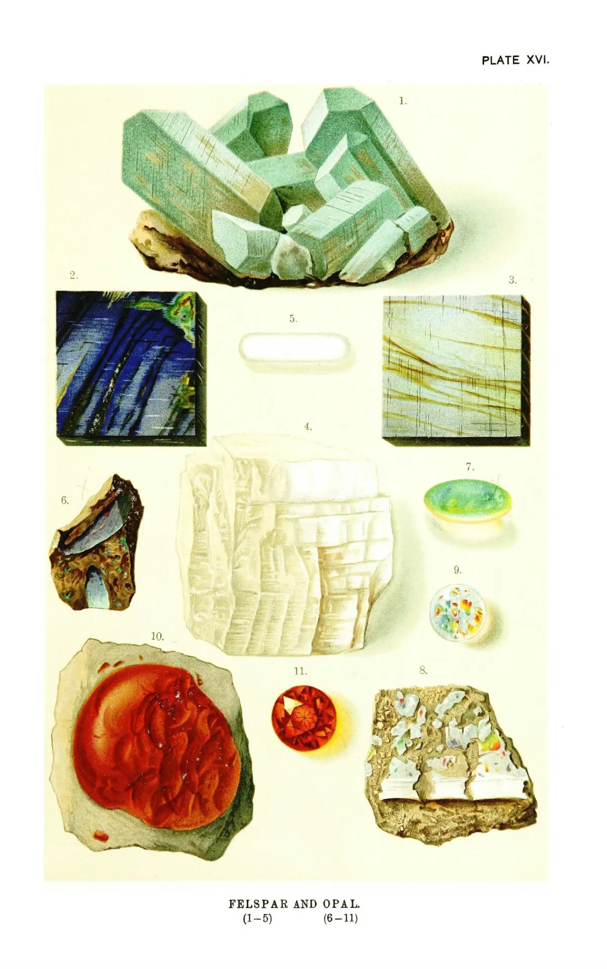 A chromolithograph headed Felspar and Opal. At its centre a large rough white moonstone with a stepped, cleaved surface, and beside it a small cut oval moonstone; above are pale green amazon-stone crystals, and around them rough and cut precious and fire opals.