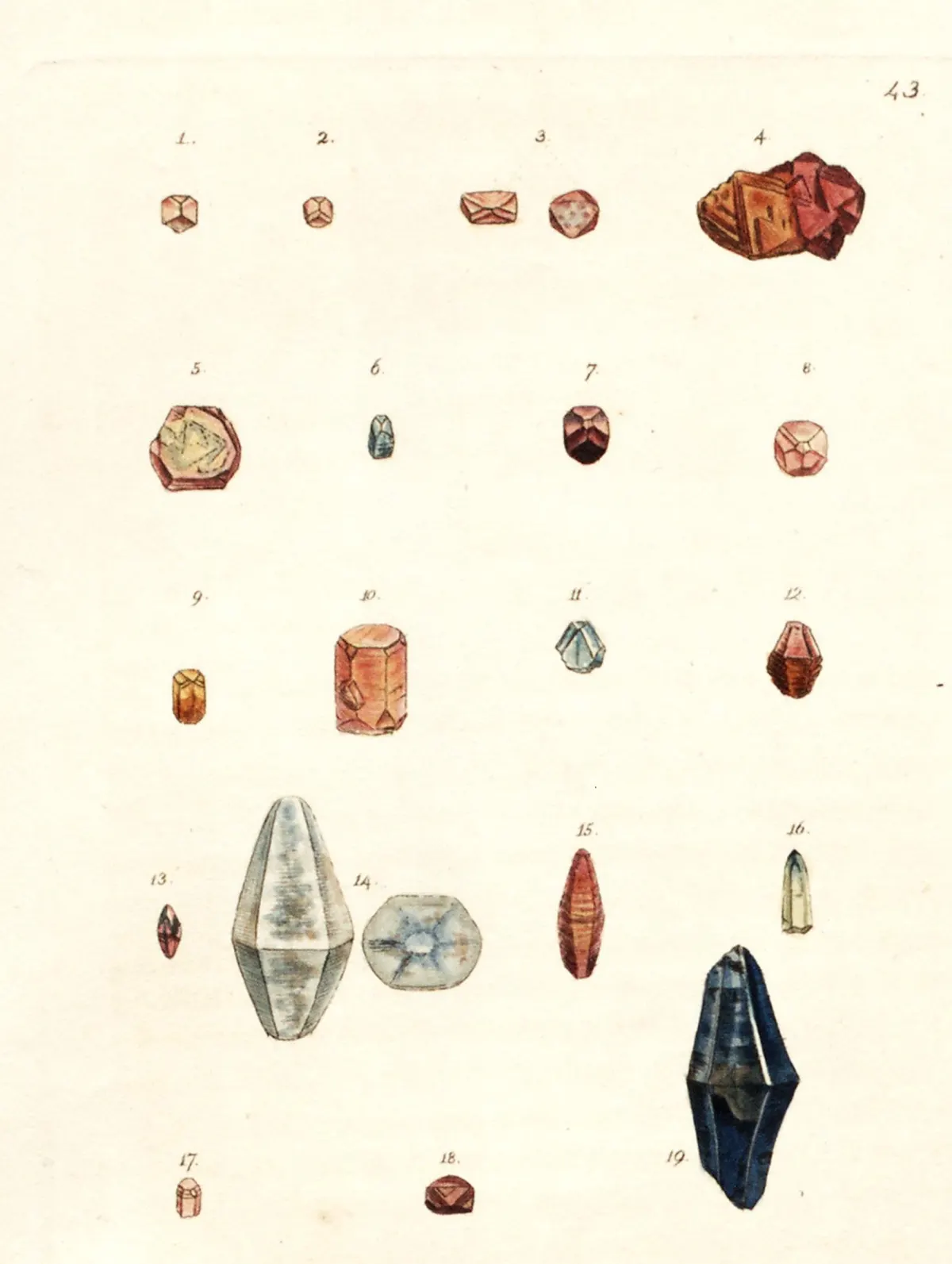 A hand-coloured engraving of nineteen numbered corundum crystals in rows, most of them rose and crimson ruby, barrel-shaped or six-sided; also an orange-brown prism, a pale grey star-stone, and at lower right one large deep blue sapphire crystal.
