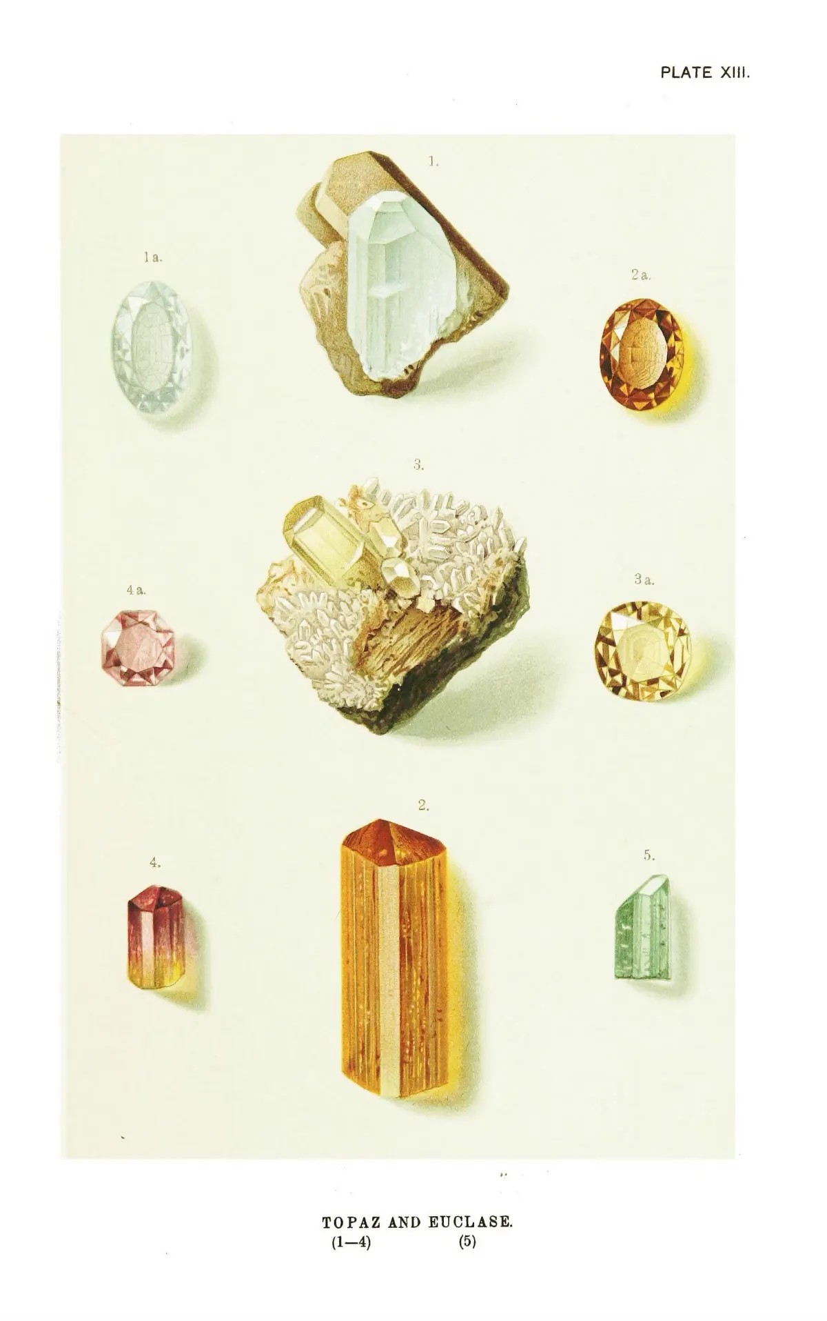 A chromolithograph of topaz: a pale blue crystal seated in buff matrix, a tall deep golden-orange striated prism, a lemon-yellow crystal on a druse of white crystals, a small rose-red prism, and cut stones in pale blue, amber, yellow and pink.