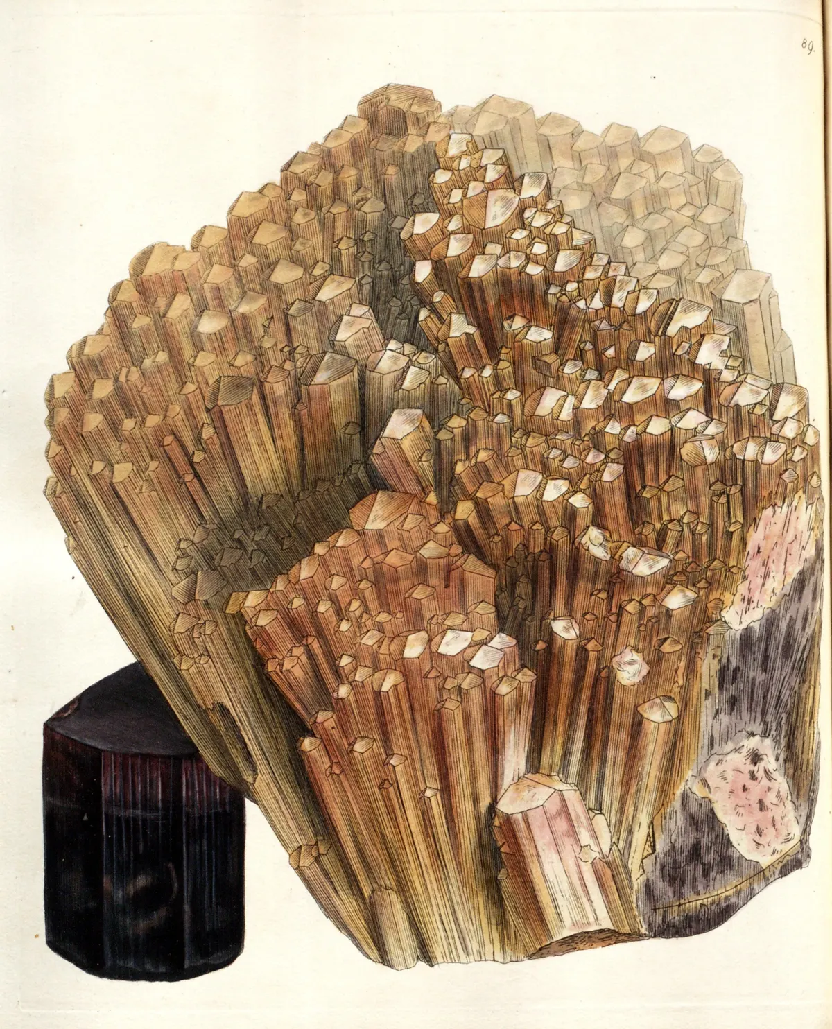 A large hand-coloured engraving of a mass of parallel tourmaline prisms, honey-brown and pink, their flat hexagonal tops packed together like a colonnade, with lilac and dark grey rock along the right edge and one short, almost black prism at lower left.