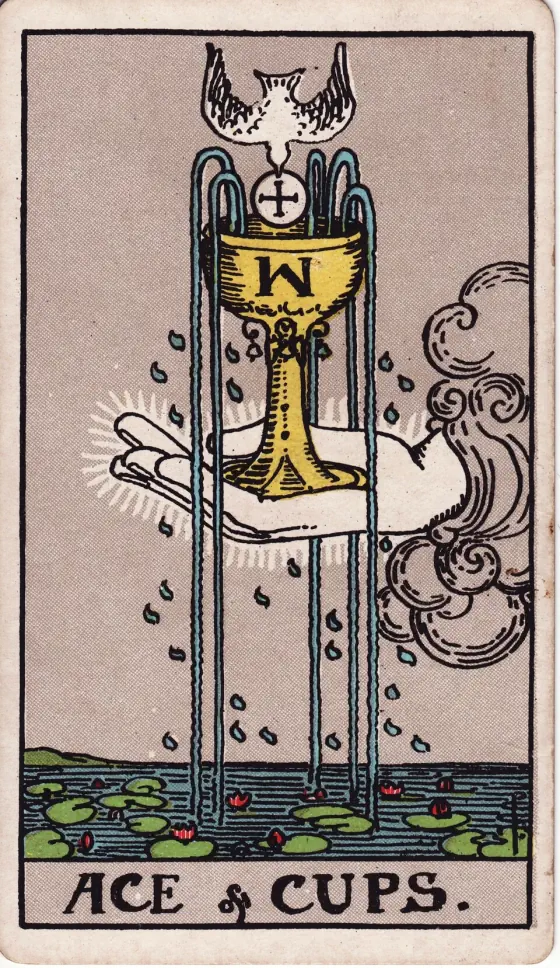 Ace of Cups: The waters are beneath, and thereon are water-lilies; the hand issues from the cloud, holding in its palm the cup, from which four streams are pouring.