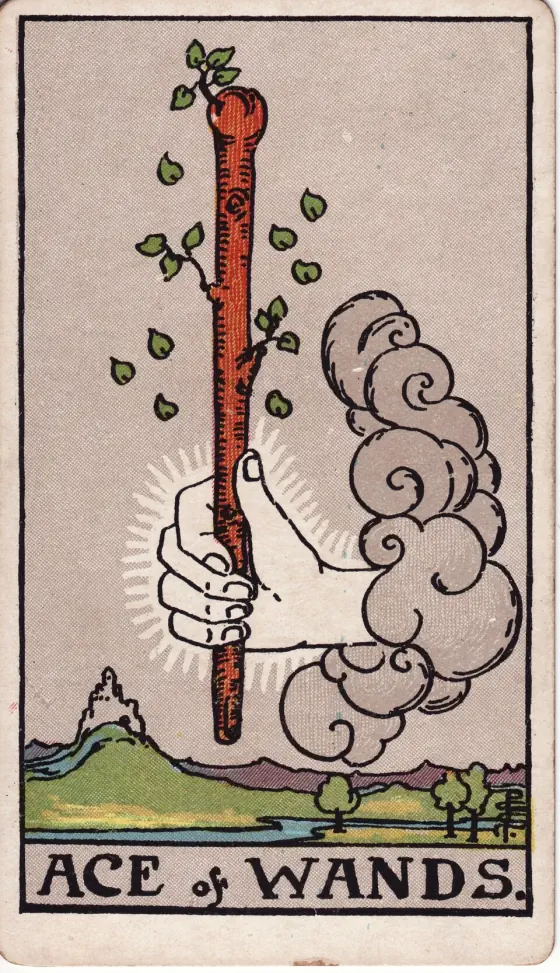 Ace of Wands: A hand issuing from a cloud grasps a stout wand or club.
