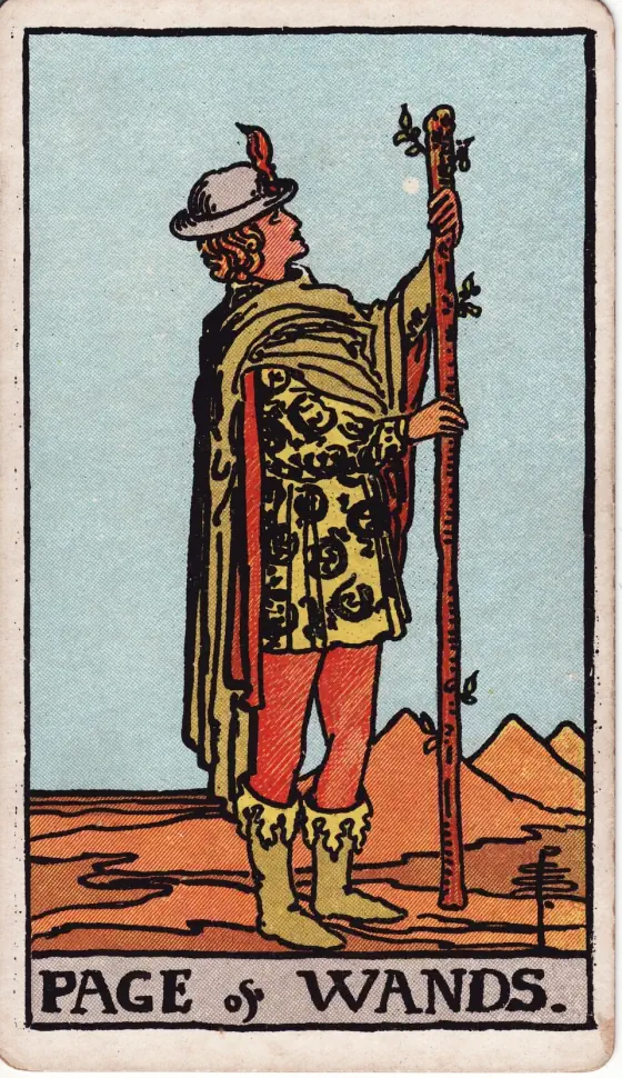 Page of Wands: A young man in a feathered cap stands in a desert with pyramids behind him, holding a tall sprouting wand and looking up at it.