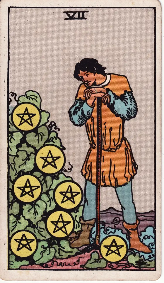 Seven of Pentacles: A young man, leaning on his staff, looks intently at seven pentacles attached to a clump of greenery on his right.