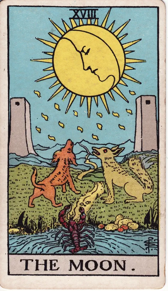 The Moon: The moon, with a face in profile, shines between two towers; a dog and a wolf bay at it, and a crayfish crawls out of a pool onto a path that winds away to the mountains.